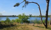 Excursión Bici de carretera Valkenswaard - vélo Hollande  - Photo 2