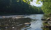 Trail Walking La Roche-en-Ardenne - A la découverte de Maboge 🥾 - Photo 9