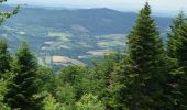 Tocht Mountainbike Laprugne - Loge des Gardes, Eoliennes, Gué de la Chaux - Photo 1