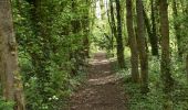 Trail Walking Blegny - 20230427 - Balade ornithologique Saive - 5.3 Km - Photo 1