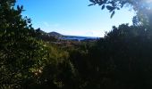 Tocht Stappen Saint-Raphaël - Les Ferrièrres,les jardins de Diane,la ferme Philippe - Photo 3