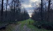 Tour Wandern Belœil - Stambruges, Beloeil, les Ecacheries, mer de sable, Stambruges - Photo 17