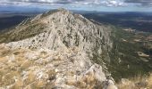 Randonnée Marche Vauvenargues - Sainte-Victoire (accès par Vauvenargues et GR9) - Photo 15