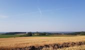 Trail Mountain bike Saint-Clément - sortie vtt 25072019 Hablainville  - Photo 2