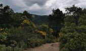Percorso Marcia Signes - Boucle Chibron - Haut Latay - Photo 3