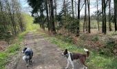 Tocht Stappen Libramont-Chevigny - Cani trail 5km avec raccourcis  - Photo 3