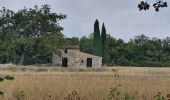 Randonnée Marche Viens - Le Cirque des Barriès, Ocres et fossiles - Photo 2