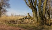 Tocht Te voet Lelystad - 't Langepad - Photo 7