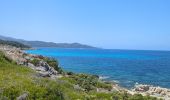 Tour Wandern Santo-Pietro-di-Tenda - sentier côtier entre la plage du Lotus et Sallecia - Photo 4