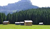 Percorso A piedi Altaussee - Wiesenweg Altaussee - Blaa Alm - Photo 5