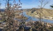 Randonnée Marche Tournon-sur-Rhône - Le Pas du géant  - Photo 4