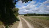 Trail Walking Chinon - Chinon - Circuit Entre Puys du Chinonais et Vienne avec variante - 17.4km 240m 4h00 (25mn) - 2022 09 09 - Photo 1