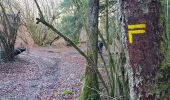 Trail Walking Darnets - boucle des Troubadours - Photo 7
