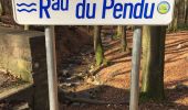 Tour Wandern Spa - 20200316 - Berinzenne - Validé - Photo 8