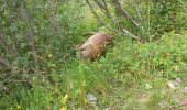 Randonnée Marche Les Contamines-Montjoie - Très La Tête 10 08 2023 - Photo 8