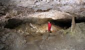 Trail On foot Sainte-Colombe-de-Villeneuve - Sainte-Colombe-de-Villeneuve, vers les grottes de Lastournelles - 10.9 km - Photo 1