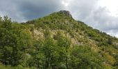 Excursión Senderismo La Motte-Chalancon - LA MOTTE CHALANCON - LE PLATEAU DE LA CHAU - Photo 7