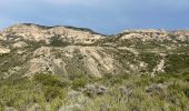 Trail Horseback riding Bardenas Reales de Navarra - Bardenas jour 5 - Photo 9