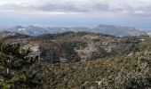 Randonnée Marche Bédoin - les ramayettes - Photo 3