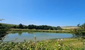 Tour Wandern Escalles - ⛺️ Les Érables - Cap Blanc-Nez  - Photo 1