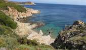 Trail Walking Calvi - Calvi : Pointe de revellata - Photo 12