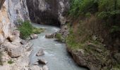 Trail Walking La Palud-sur-Verdon - Sentier Blanc Martel - Photo 2