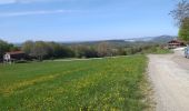 Trail Walking Busy - Busy Vierge du mont - Photo 2