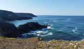 Tocht Stappen Crozon - La randonnée du cap de la Chèvre  - Photo 7