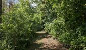 Trail Walking Athée-sur-Cher - Athée-sur-Cher - Chandon - Tour du Brandon - 21.2km 160m 4h40 (50mn) - 2025 05 10 - Photo 4