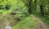 Tour Wandern Saint-Hilaire - Saint-Hilaire - Géosite et abri gravé - Photo 5