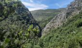 Tocht Stappen Senez - SENEZ , clue de la Melle. , chapelle  de la Melle ,  o s - Photo 18