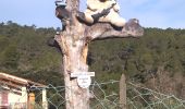 Trail Walking Pignans - Pignan les trois évêchés  - Photo 1