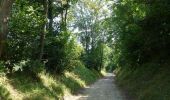 Trail On foot Jodoigne - Promenade des Hougardiers - Photo 8
