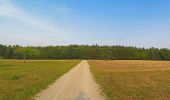 Tour Zu Fuß Lauter - Schnecken-Wanderweg Lauter - Photo 5