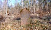 Tour Zu Fuß Hanau - Spessartspuren - Niederrodenbach - Barbarossaquelle und Klosterruine - Photo 6