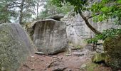 Tocht Stappen Fontainebleau - Bourron-Marlotte sentier Denecourt 11 - Photo 3