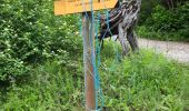 Trail Walking Le Saix - lac Peyssier - Photo 6