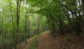 Excursión Senderismo Forest-Saint-Julien - Aqueduc des Gorges. Circuit des Caneaux. 10/06/19. - Photo 6