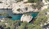 Trail Walking Marseille - Les calanques de Cassis . Sugiton Morgiou.Sormiou - Photo 14