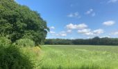 Tour Zu Fuß Midden-Drenthe - Wijdeblikroute - Photo 1