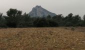 Randonnée Marche Eygalières - Les Alpilles au dessus d'Eygalieres - Photo 1