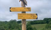 Trail Walking Nasbinals - Aubrac randonnée 3 - Photo 1