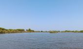 Trail Walking Saint-Cyprien - st cyprien de merde - Photo 13