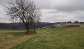 Trail Walking Kaltenborn - Hohe Acht - Photo 9
