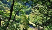 Tocht Stappen Malmedy - au départ de l'auberge vers Xhoffraix - Photo 1