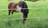 Tocht Stappen Blanzat - PLATEAU DE LA BADE - Photo 17