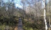 Trail Walking Waimes - botrange . pont beleu . croix des fiancés . baraque michel /  retour fagne wallone hors caillebotis  - Photo 18