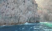 Excursión Barco a motor Ota - Calanques par la mer Scandola Girolata - Photo 7