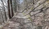 Trail Walking Aywaille - sougné-remouchamps . ninglinspo . selon . sougné - Photo 15