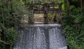 Trail Walking Sebourg - Sebourg les censes de Sebourg en passant le long de la Petite Aunelle - Photo 1